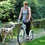 steppen met je hond