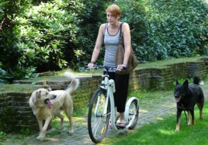 Steppen met je hond