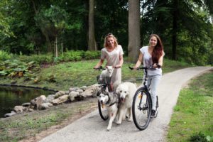 steppen met je hond